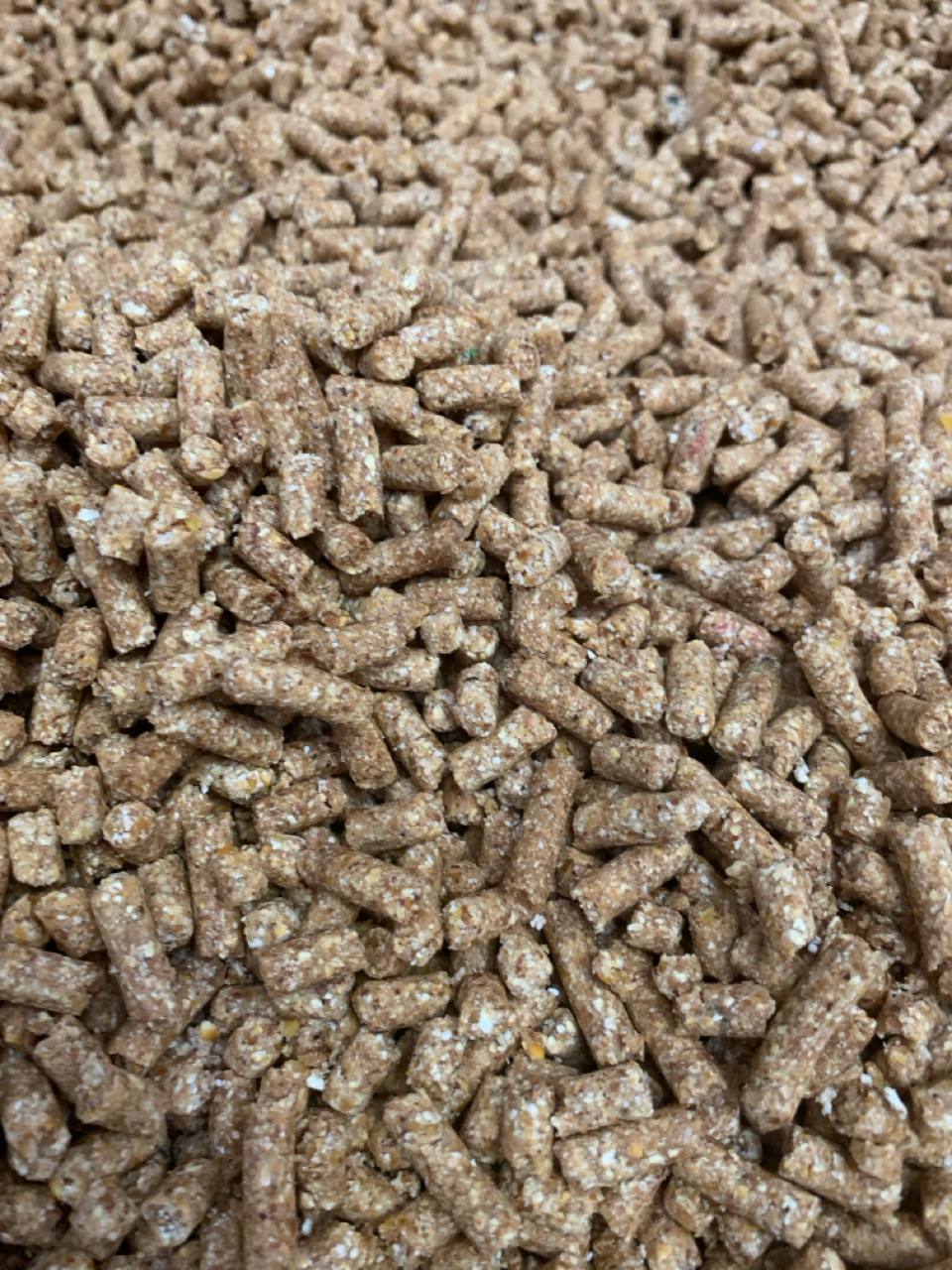Corn pellets for livestock feed
